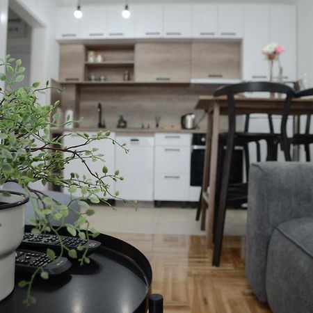 Apartment Dobraya Grey Novi Sad Exterior photo